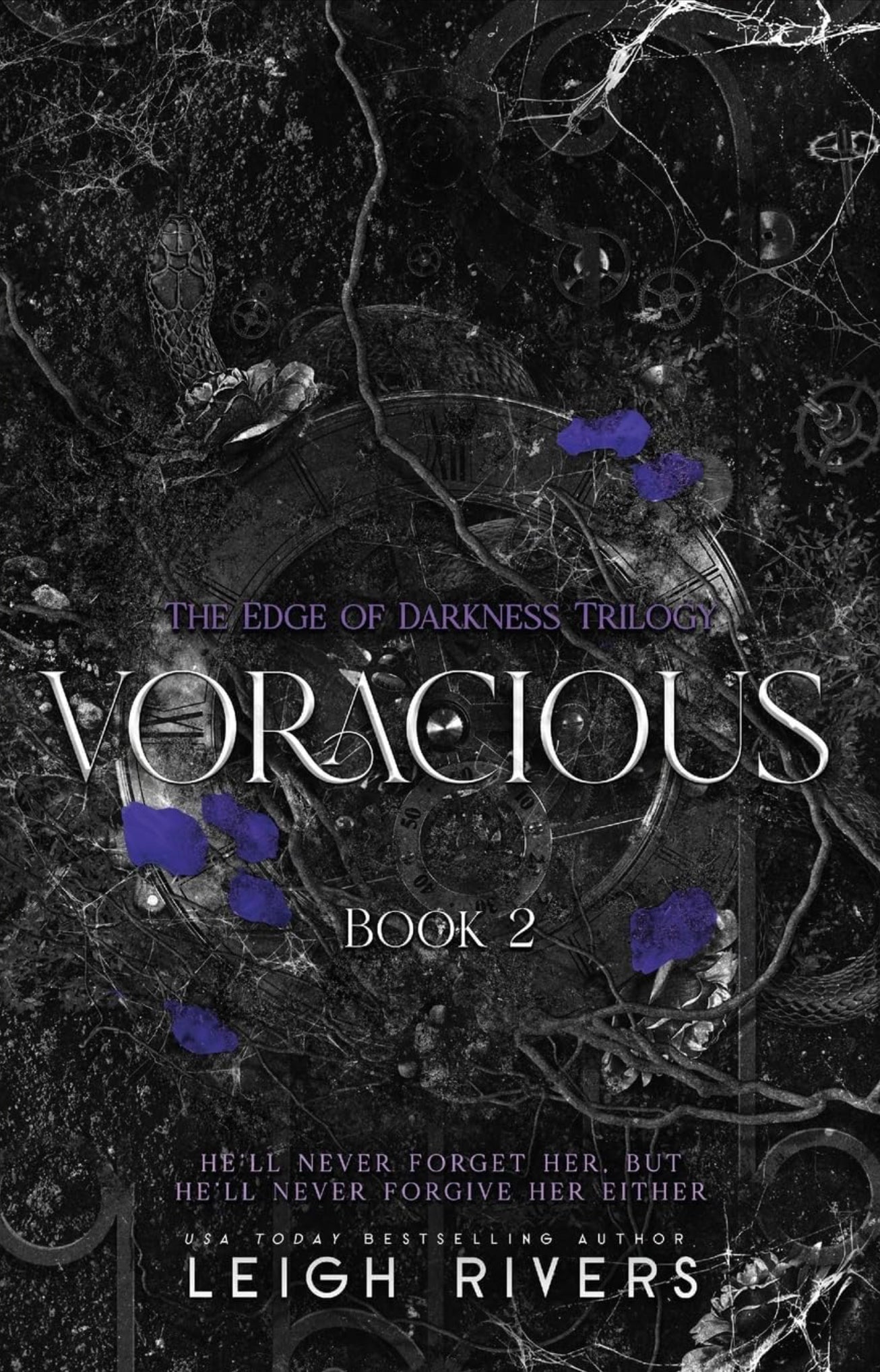 Voracious by Leigh Rivers